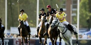 Win Six Tickets To The Finals Of Polo In The Park 2014