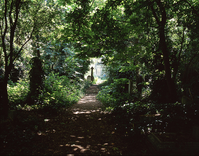 Abney Park Cemetery looks more like a park, by D1v1d on Flickr 