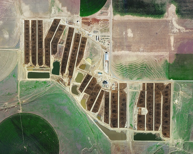 Mishka Henner, Centerfire Feedyard, Ulysses Kansas. From series Feedlots 2013. Image courtesy of the artist and Caroll / Fletcher.