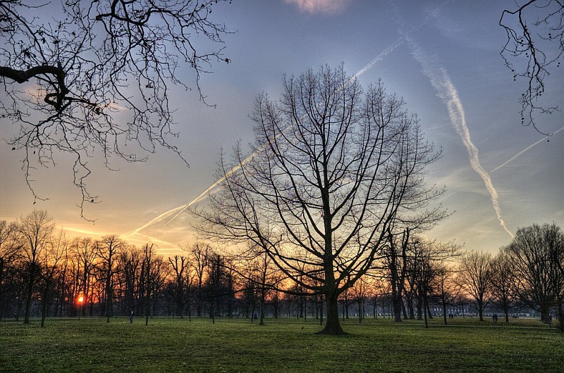Photo by yorkshire stacked, featured in Sunday Seasoning #62 (January 2011).