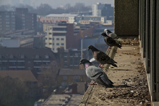 Photo by David Hardman, featured in Sunday Seasoning #194 (March 2014).