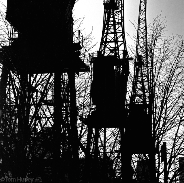 West India Dock by Tom Hurley