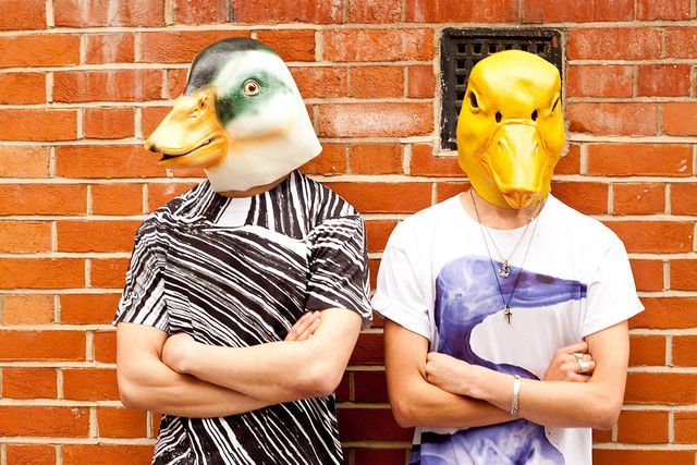 duck_160614