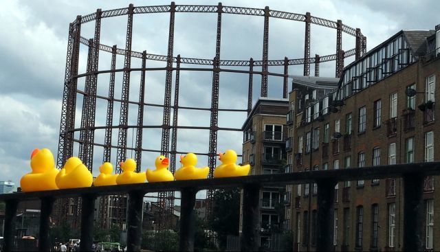 duckies_090614