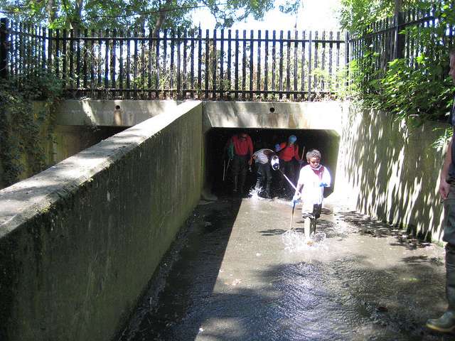 Meadows Estate