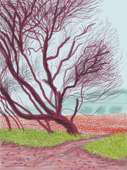 The Arrival of Spring in Woldgate, East Yorkshire in 2011 (twenty eleven) - 18 March (2011)