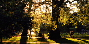 Friday Photos: London's Parklife