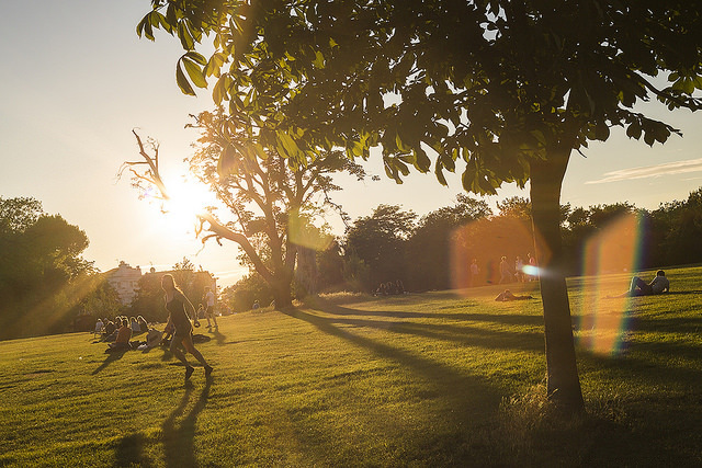 Sunset in Clissold Park by Michael Goldrei.
