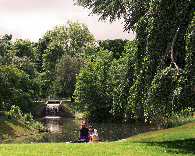 Picnic In The Park by Mike Hewson.