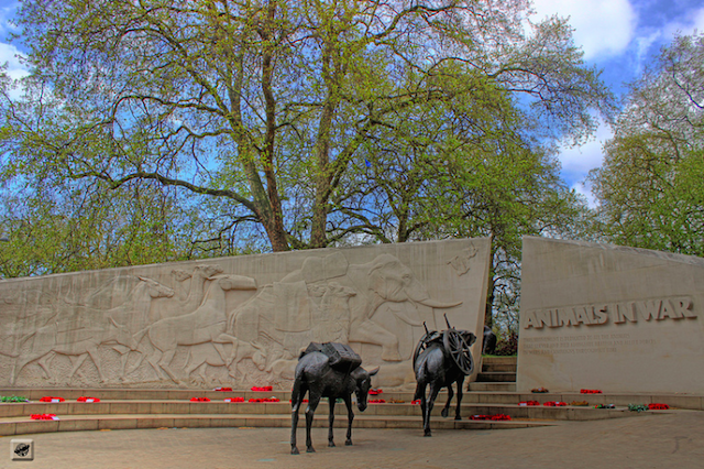 The Animals in War Memorial in Hyde Park pays tribute to all animals who died in wars during the 20th century, from pigeons to elephants. Photo by Gábor Hernádi.