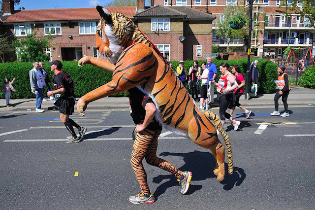 Running for a good cause, by Andrew Smith 
