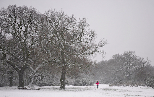 Even with the snow… Photo taken in Hollow Ponds by Peter H