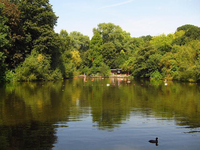 Mixed bathing pond in Hampstead Heath, by Laura Nolte