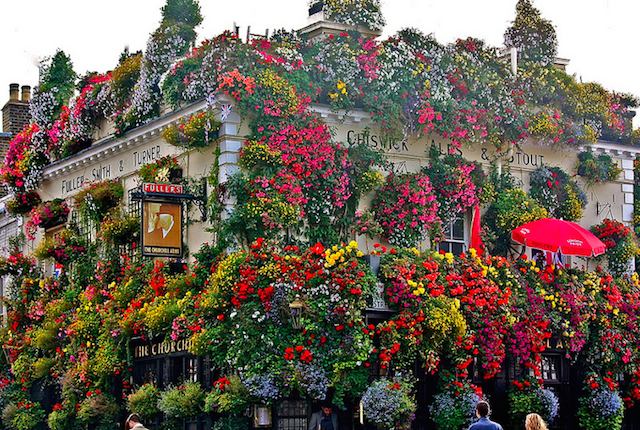 Churchill Arms in Notting Hill by Stephanie Sadler