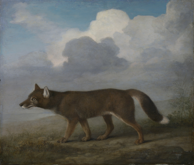 Portrait of a large dog (Dingo)	
George Stubbs, 1772
Oil on mahogany panel
National Maritime Museum, London

