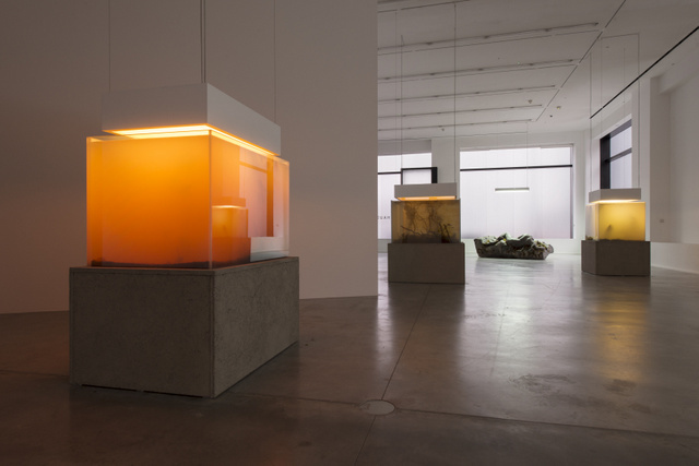 Installation view, 'Pierre Huyghe. IN. BORDER. DEEP', Hauser &amp; Wirth London, 2014 © Pierre Huyghe, courtesy the artist and Hauser &amp; Wirth. Photo: Hugo Glendinning