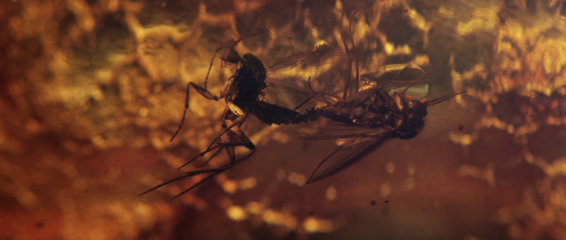 Pierre Huyghe, From 'IN. BORDER. DEEP', Hauser &amp; Wirth London, 2014, video still. © Pierre Huyghe, courtesy the artist and Hauser &amp; Wirth