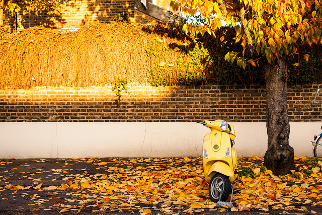 Autumnal scooter, by Richard Stern