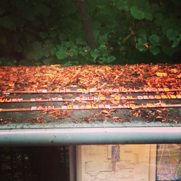 A series of mysterious messages appeared on South London bus stops recently.