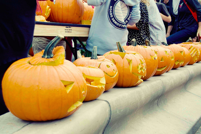 Pumpins along the South Bank, by Hanna Klosowska Photography