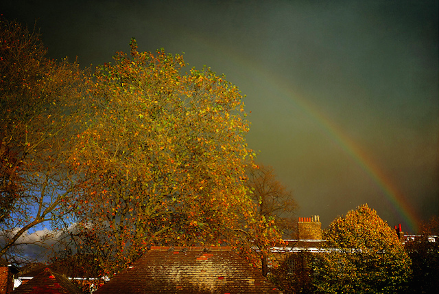 Beautiful autumnal rainbow, by Ekaterina Nosenko (Katia)