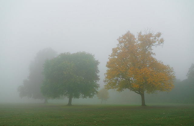 Autumn fog in Brockwell Park by Arpad Lukacs