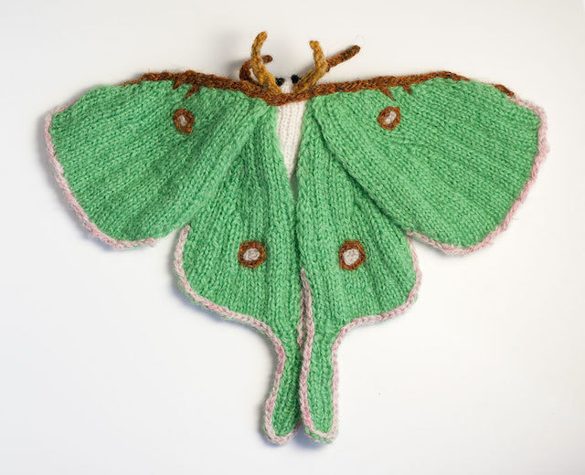 actias-luna-moth.jpg