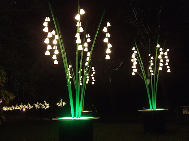 Nature Lights Up Christmas At Kew Gardens Londonist Nature Lights Up Christmas At Kew Gardens Londonist