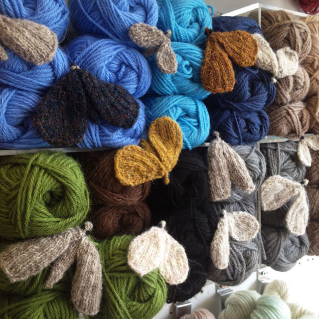 moth-wool-shop1.jpg