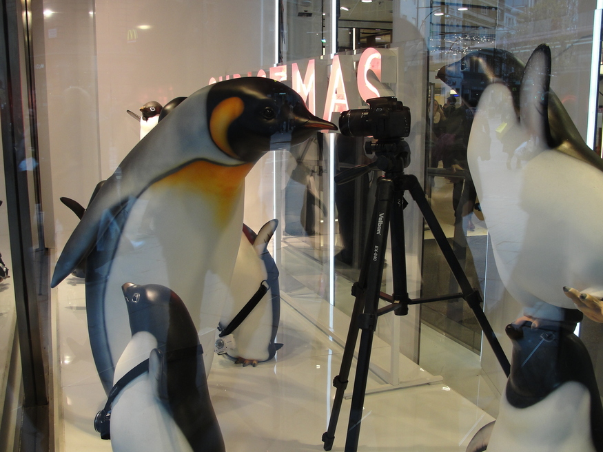 John Lewis goes all-out cute, with these penguins, inspired by the company's TV ad.