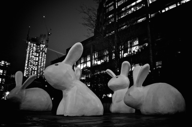 Rabbits at Spitalfields Market and Broadgate in 2010. Photo: Simon Wicks