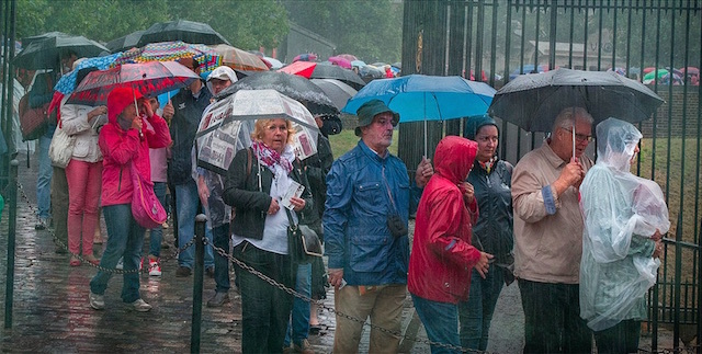 Hardy tourists determined to see the Tower of London in August 2014. Photo: DAVE