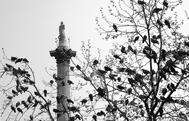 Trafalgar Square in 2007 Photo: LaMadrileña
