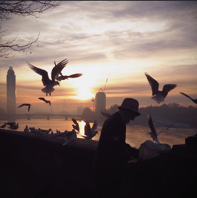 Feeding time on Albert Embankment in December 2013. Photo: Olly Denton