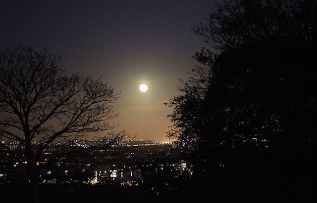 The view from Alexandra Palace. Photo: stephenmid