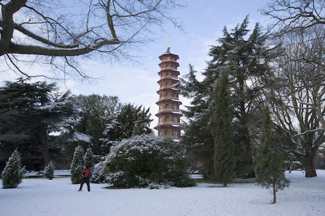 Ticket Offer Visit Kew Gardens This Winter For Just 9 50 Londonist Ticket Offer Visit Kew Gardens This Winter For Just 9 50 Londonist