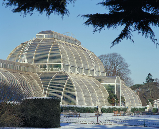 Best Time To Visit Kew Gardens London At Jaime Trujillo Blog Best Time To Visit Kew Gardens London At Jaime Trujillo Blog