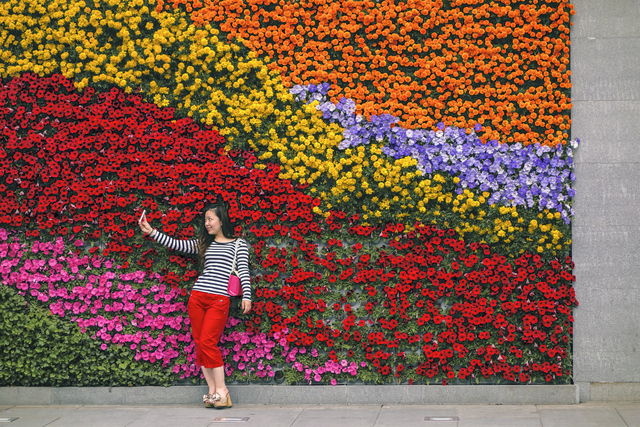A woman takes a selfie in front of a brightly coloured living wall. Copyright David Thurston.