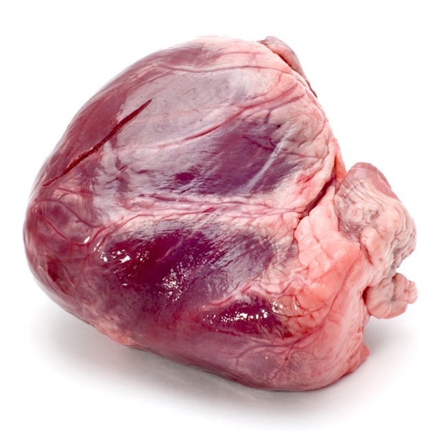 An ox heart.