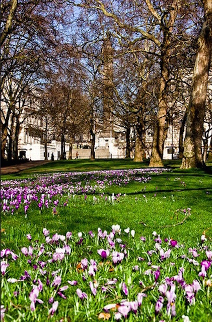 St James' Park in 2009. Photo: Joe Dunckley