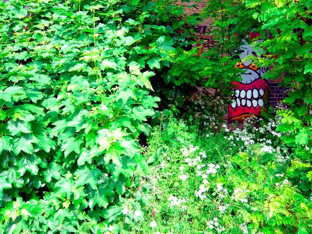 In the jungle in Haggerston. Photo: Matthew Gidley (2009)