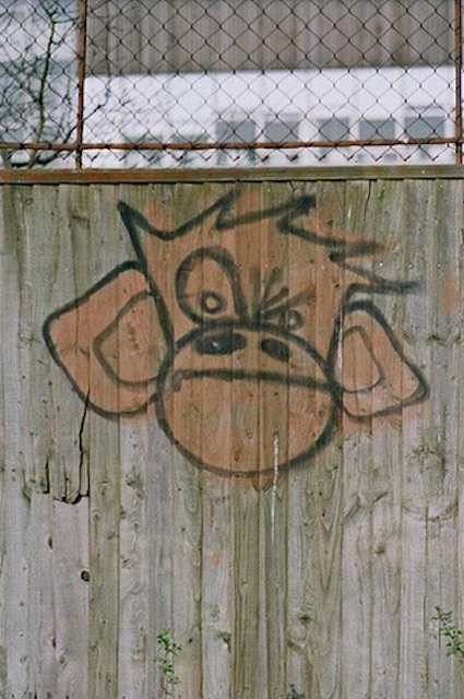 Parliament Hill Lido graffiti. Photo: Sarah Galasko (2007)