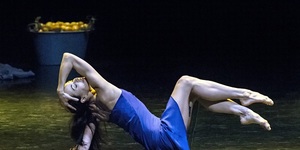 Wonderful Baffling Ballet And Lemons: Diana Vishneva