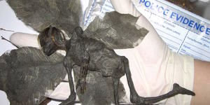 Fortean London: A Mummified Fairy And Arabian Tales