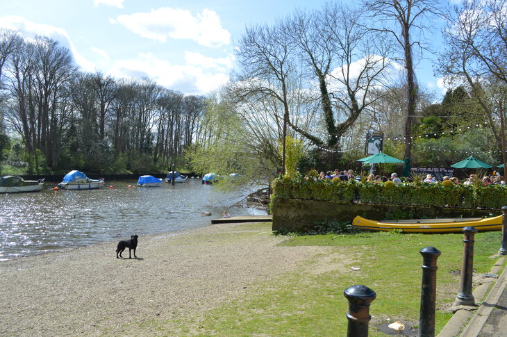 London pubs: a pub garden on the banks of the Thames