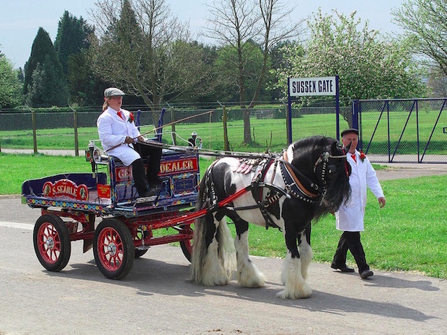 London Harness Horse Parade. Photo: Adam Thompson (2014) 