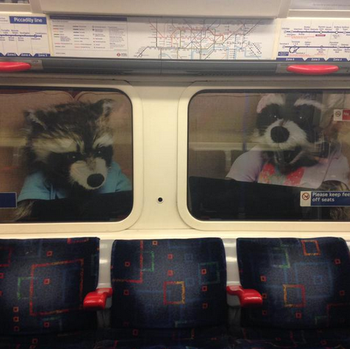 @Smanthuella spots more animals skulking on the tube platform.