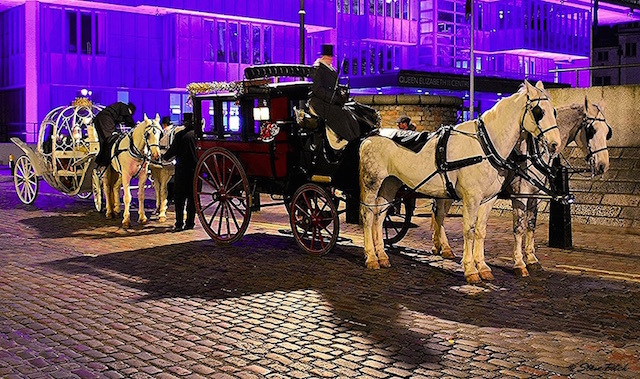 Coach and horses. Photo: Steve Fitch (2014)