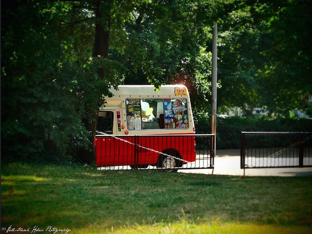 Peekaboo! Photo: Mike T (2013)