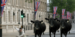Glastonbury In London? Whatever Next?
